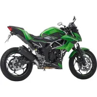 Shark Auspuff NINJA 125 19- MATT-SVART