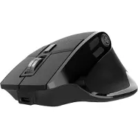 JLab Mice