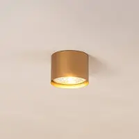 Argon Takspotlight Chloe fast, guld , dimbar, Mässing / guld, Vardagsrum / matsal, Metall, Modern, Halogen spots