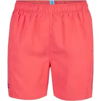 Arena Fundamentals Logo R 41.5cm Simshorts