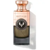 Electimuss Vici Leather Extrait de Parfum 100 ml