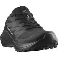 Salomon Alphaglide Goretex Trailskor