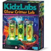 4M Kidzlabs Lab of Luminous Creatures
