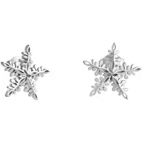 Lempikoru Lumi stiftörhängen silver 33 251 00 000