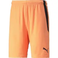 Puma Shorts Teamliga - Orange/svart, storlek X-Small