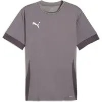 Puma Tränings T-Shirt teamGOAL - Grå/White, storlek X-Large