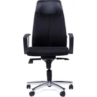Topstar kontorsstol High Sit up, svart, inkl. fasta armstöd A1, mått: (B)480 x (D)460 x (H)440 - 520 mm (SU39A-BG0)