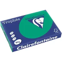 Clairefontaine 80g A3 papper | furugrön | 1896PC | 500 ark [5,2kg]