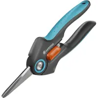 Waelbers Sax Fresh Cut 12212-36