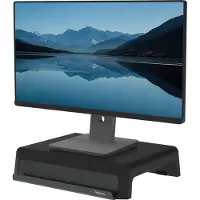 Fellowes 100016560 Monitorställ