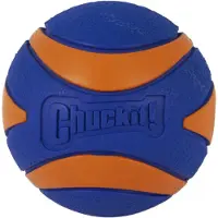 Chuckit! Ultra Squeaker Ball stl. XL