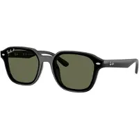 Ray-Ban 0RB4458D Solglasögon -