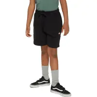 Dickies Youth Mapleton Sportshorts