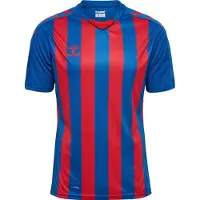 Hummel Core Xk Striped T-shirt Med Korta ärmar
