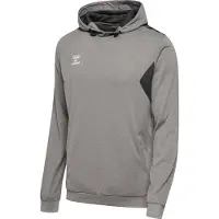 Hummel Authentic Pl Tröja Med Huva