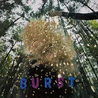 Ginza.se Snarls: Burst