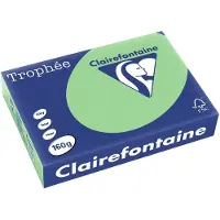 Clairefontaine Färgat papper Trophée A4 160 g/m² naturgrön