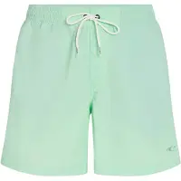 O'Neill Vert 16'' Boardshorts mildrew mint Storlek XS