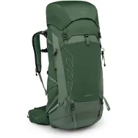 Osprey - Trekkingryggsäckar - Talon 44 Green Canopy/Pine Leaf för Unisex - Storlek L/XL - Grön