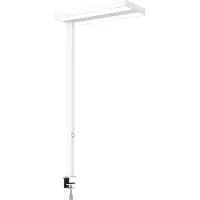 MAUL MAULjaval 8258302 LED-bordsbelysning LED Ljuskällan kan bytas ut med elektrikers hjälp 64 W Vit