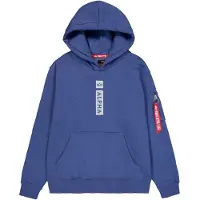 Alpha industries Sweatshirt ljusgrå / violettblå / mörkröd