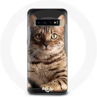 CAPACHEAP Coque pour Samsung Galaxy S10 Bengal Race de Chats