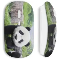MANIACASE Souris sans fil Panda