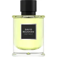 David Beckham Instinct Långvarig Eau de Parfum 75ml