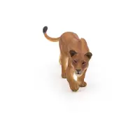 Papo 50251, 3 År, Wild animal kingdom, Brun, PVC