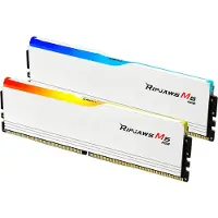 G.Skill F5-6000J3636F16GX2-RM5RW Internminne Desktop Modul DDR5 32 GB 2 x 16 GB 6000 MHz 288-polig DIMM F5-6000J3636F16GX2-RM5RW