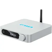 Fiio Mediespelare SR11 - silver - nätverksljudspelare
