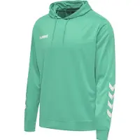 Hummel Promo Poly Tröja Med Huva