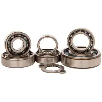 Hotrods Suzuki Lt-r 450 06-09 Styrlagerkit