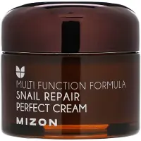 Mizon , Snail Repair Perfect Cream, 50 ml (1.69 fl oz)
