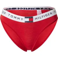 Tommy Hilfiger Heritage Tonal Logo Waistband Briefs