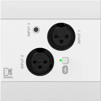 Audac NWP320/W nätverksingångsljudmodul - 2 x XLR + 3,5 mm jack + BT (4 CH) vit