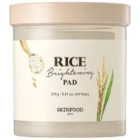 Skinfood MIST FÖRVÄTSKANDE PAD, 60 FÖRPACKNINGAR