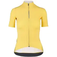 Q36.5 L1 Pinstripe Pro Korta ärmar Cykeltröja