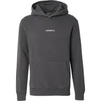 Superdry för män. M2014031A Sweatshirt med huva och grå mikrologo (XXL), Casual, Bomull