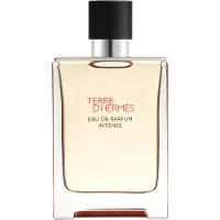 Hermès Paris Terre D'Eau de Parfum Intensiv 100 ml
