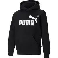 Puma Essential Big Logo Tröja Med Huva