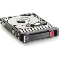 HP HPE Dual Port Enterprise - Hårddisk - 300 GB - inbyggd - 2.5 SFF - SAS - 10000 rpm