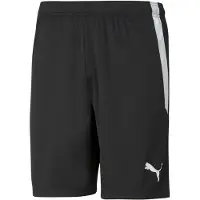 Puma teamLIGA Shorts 70492403