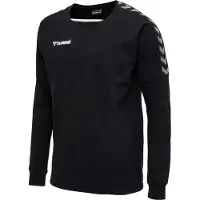 Hummel Authentic Training Tröja