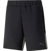 Puma Shorts Teamcup Casuals - Svart, storlek Small