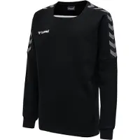 Hummel Authentic Training Tröja