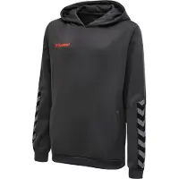 Hummel Authentic Tröja Med Huva