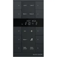 Busch-Jaeger 2CKA006220A0903 1 st