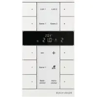 Busch-Jaeger 2CKA006220A0895 1 st
