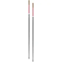 Swix Roadline 1 Pole Black/Red